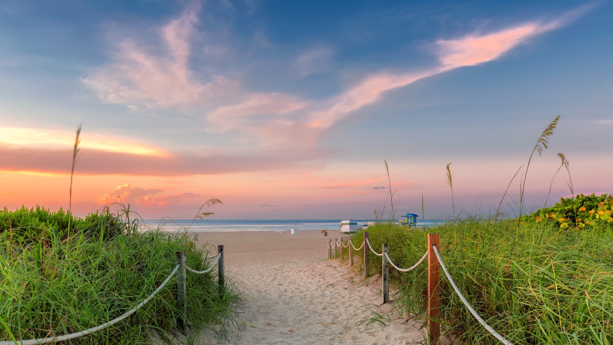 Why Sarasota Is the Perfect Destination for Winter Weddings